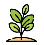 A simple icon of a small plant with exuberant green leaves growing out of a soft mound of dirt.